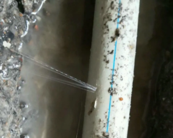 九龙卫生间测漏水多少钱