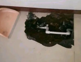 九龙卫生间测漏水多少钱